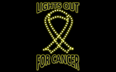 /media/uploads/organization/submitted/lightsout.jpg